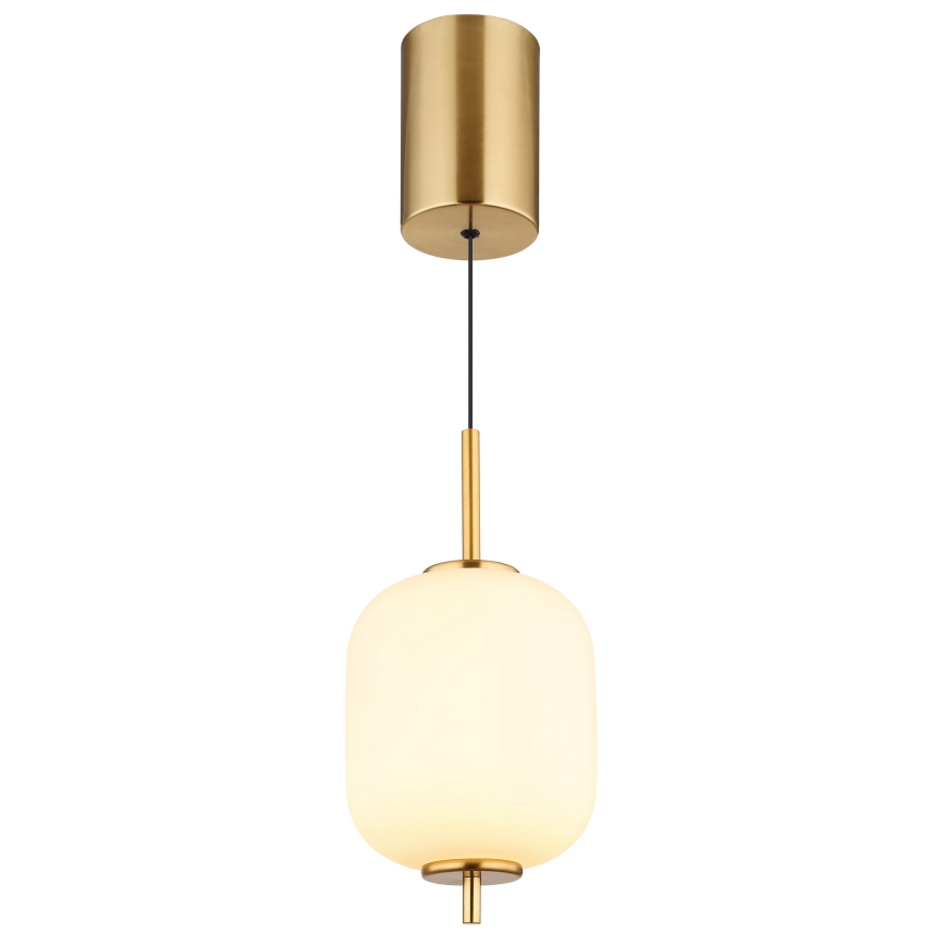 Globo - Suspension filaire LED/7W/230V