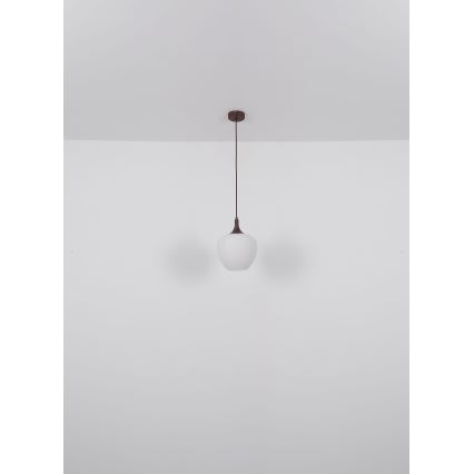 Globo - Hanglamp aan een koord 1xE27/60W/230V diameter 29 cm wit/bruin