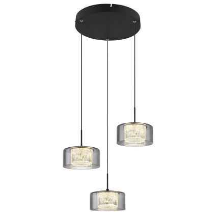 Globo - Suspension filaire 3xLED/8W/230V