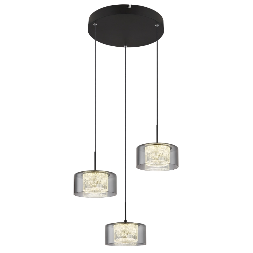 Globo - Suspension filaire 3xLED/8W/230V