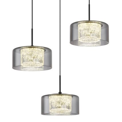 Globo - Suspension filaire 3xLED/8W/230V