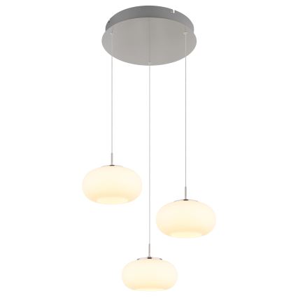 Globo - Suspension filaire 3xLED/6W/230V