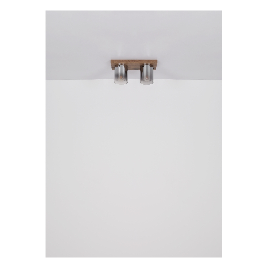 Globo - Plafonnier 2xE27/40W/230V 16x41 cm