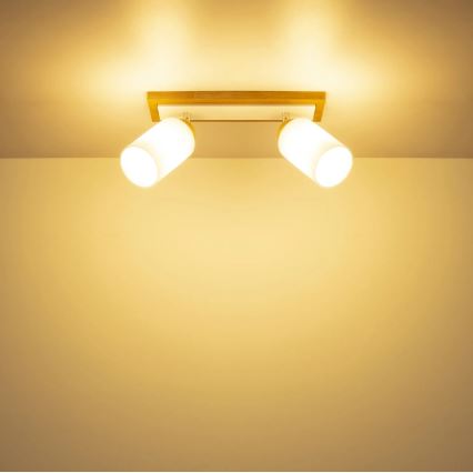 Globo - Spot orientable 2xE27/60W/230V chêne/blanc