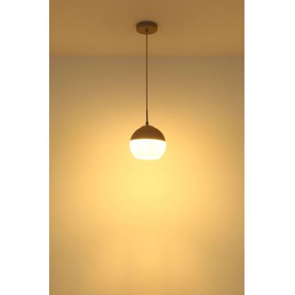 Globo - Suspension sur câble 1xE27/60W/230V Ø 20 cm