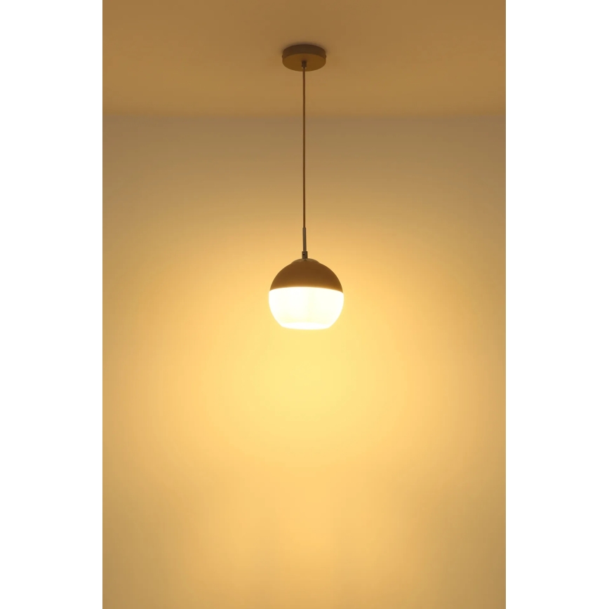 Globo - Suspension sur câble 1xE27/60W/230V Ø 20 cm