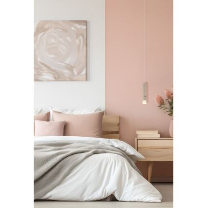 Globo - Lampe LED dimmable tactile rechargeable 2 en 1 LED/2W/230/5V