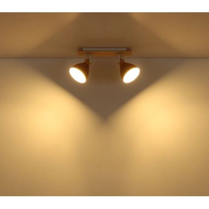 Globo - Spotlamp 2xE14/40W/230V