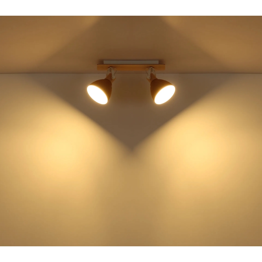 Globo - Spotlamp 2xE14/40W/230V