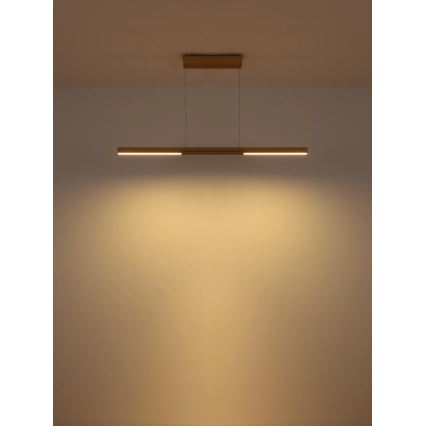 Globo - LED-hanglamp met kabel LED/24W/230V 3000K