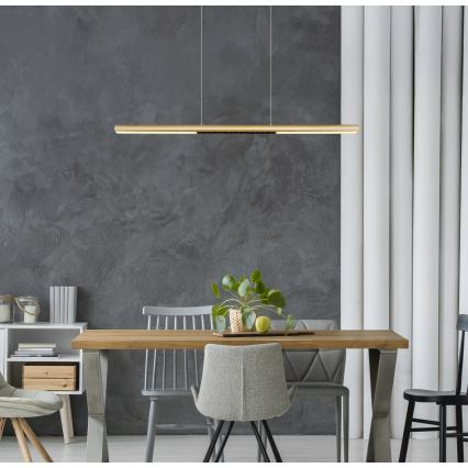 Globo - Suspension LED sur câble LED/24W/230V 3000K