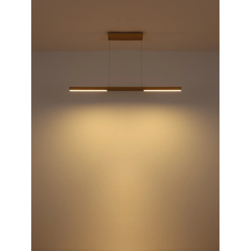 Globo - Suspension LED sur câble LED/24W/230V 3000K