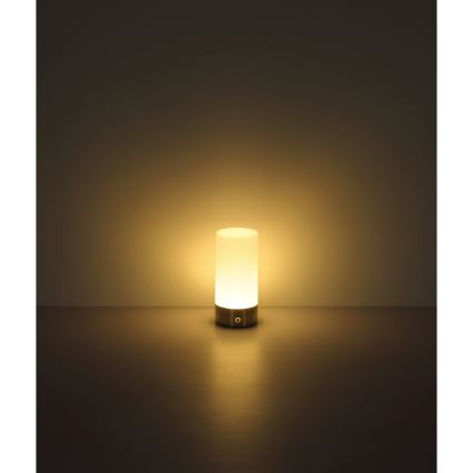 Globo - LED RGBW dimbare touch buiten tafellamp LED/1,8W/5V 1500 mAh IP44 mat chroom