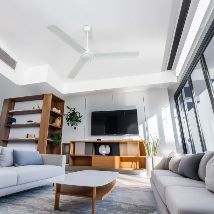 Globo - Ventilateur de plafond