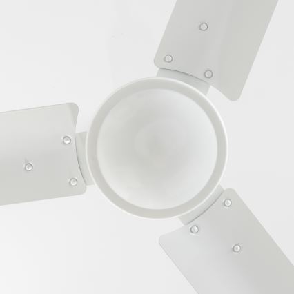 Globo - Ventilateur de plafond