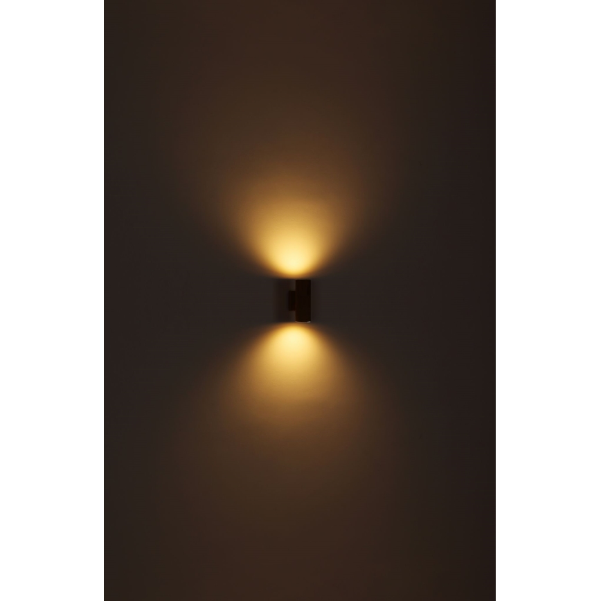 Globo - Buitenwandlamp 2xGU10/35W/230V IP44