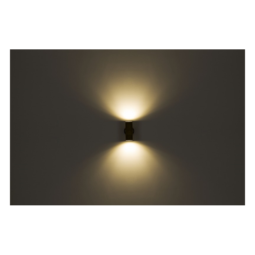 Globo - Wand Lamp voor Buiten 2xGU10/35W/230V IP44