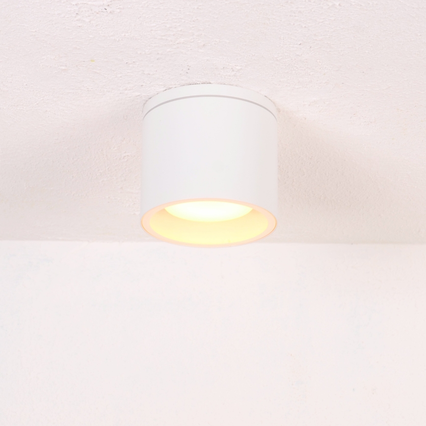 Globo - Plafondlamp voor buiten 1xGX53/11W/230V IP44