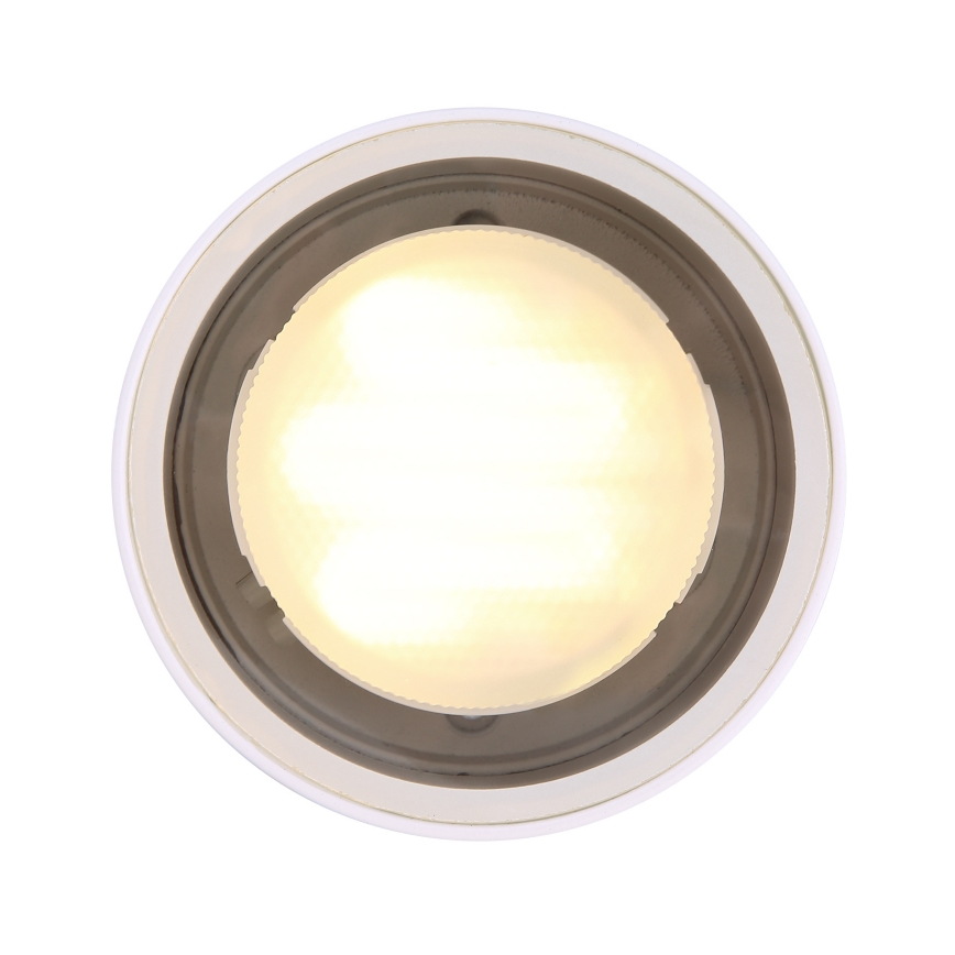Globo - Plafondlamp voor buiten 1xGX53/11W/230V IP44