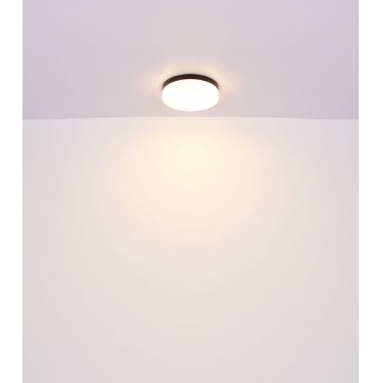 Globo - Badkamerlamp 1xE27/60W/230V diameter 18,4 cm IP44