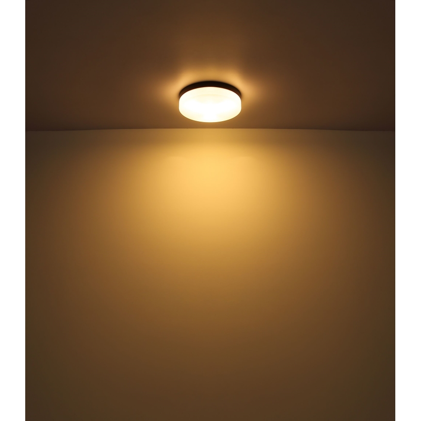 Globo - Badkamerlamp 2xE27/60W/230V diameter 24 cm IP44