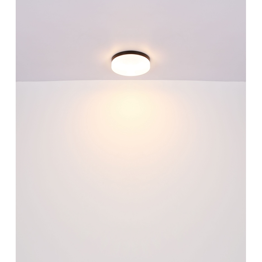 Globo - Badkamerlamp 2xE27/60W/230V diameter 24 cm IP44