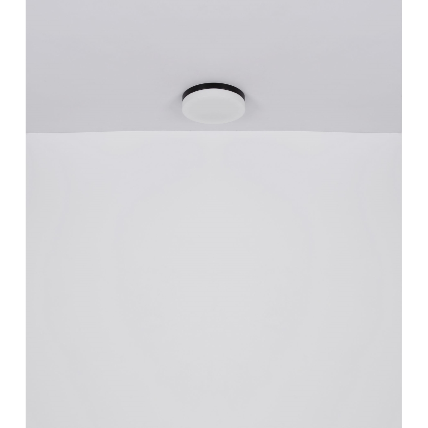 Globo - Badkamerlamp 2xE27/60W/230V diameter 24 cm IP44