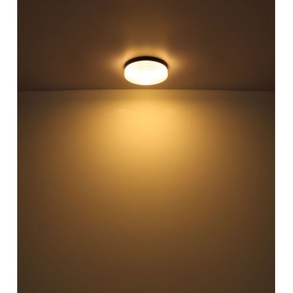 Globo - Luminaire salle de bain 2xE27/60W/230V d. 24 cm IP44