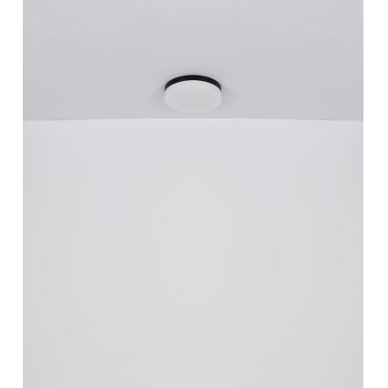 Globo - Luminaire salle de bain 2xE27/60W/230V d. 24 cm IP44