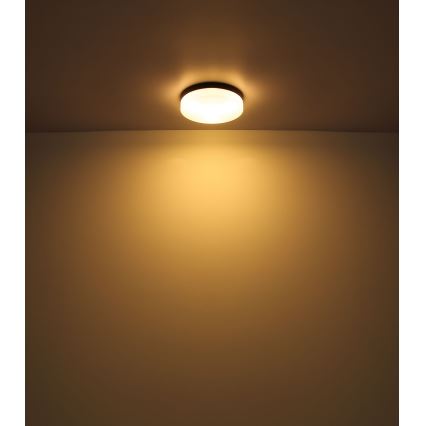 Globo - Luminaire salle de bain 3xE27/60W/230V d. 30 cm IP44