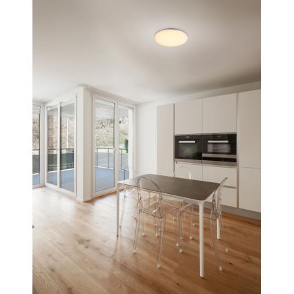 Globo - LED plafondlamp voor buiten LED/24W/230V IP54