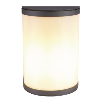 Globo 32128A - Applique murale extérieure SEGGA 1xE27/60W/230V IP44