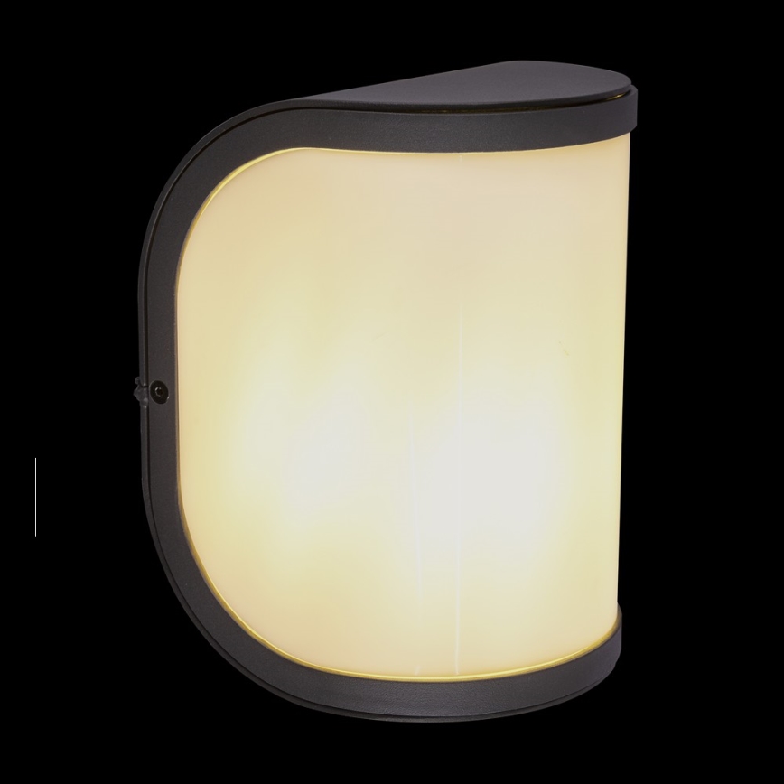 Globo 32128A - Applique murale extérieure SEGGA 1xE27/60W/230V IP44