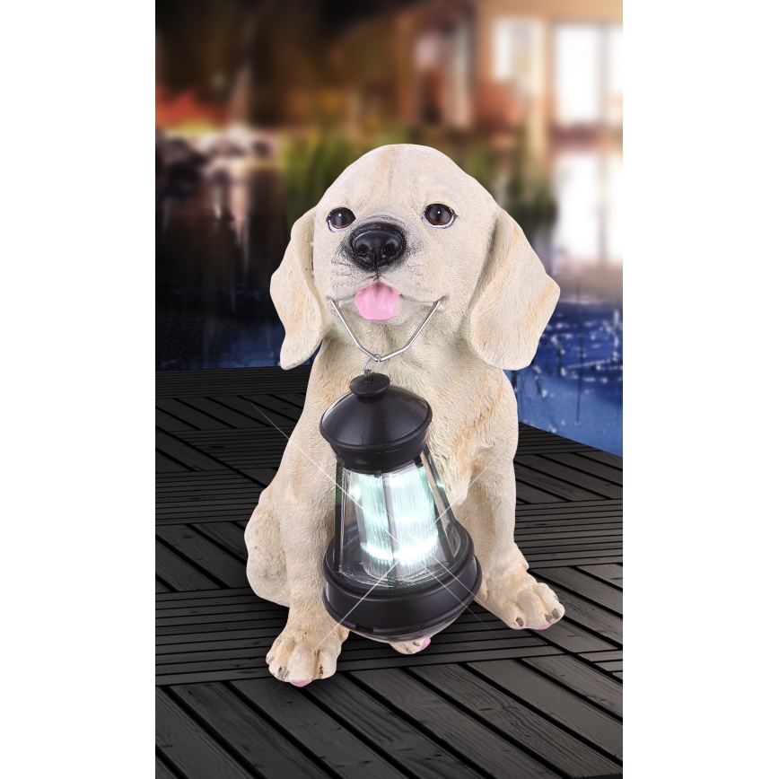 Globo - LED Solar lamp LED/0,06W/3V hond IP44 600 mAh