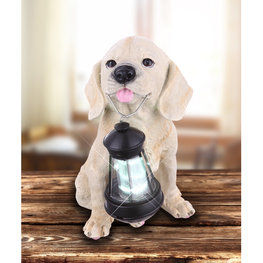 Globo - Luminaire solaire LED 0,06 W / 3 V, motif chien, IP44, 600 mAh