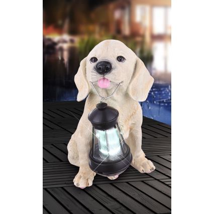 Globo - Luminaire solaire LED 0,06 W / 3 V, motif chien, IP44, 600 mAh