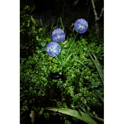 Globo - Lampe solaire 3xLED/0,06W/3V 5000K IP44 violet