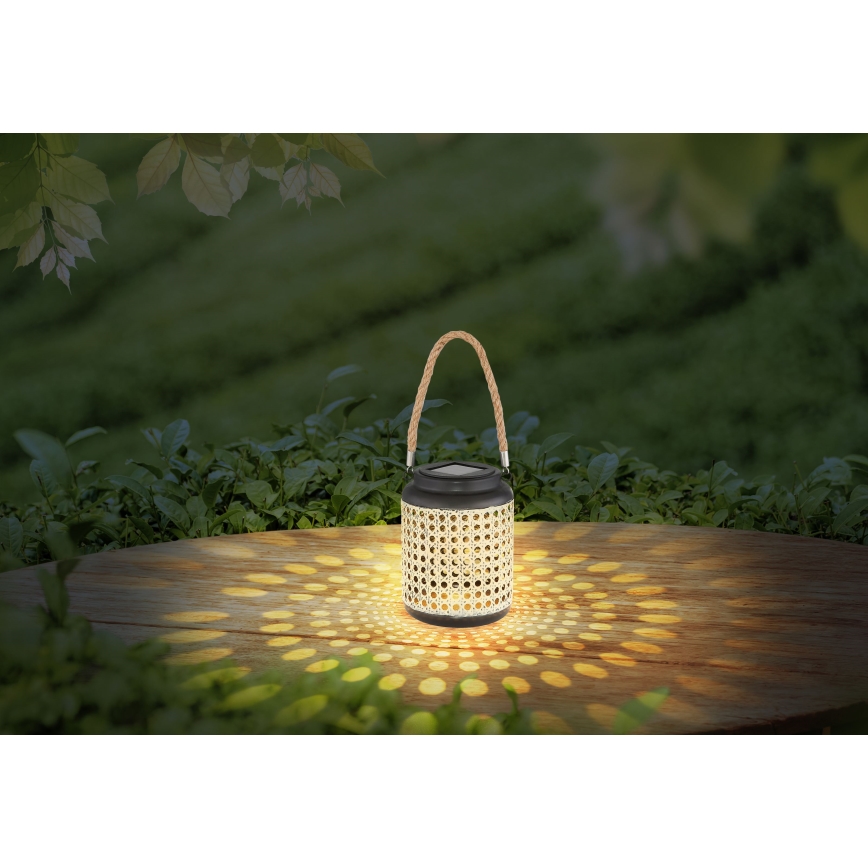 Globo - LED Solar lamp LED/0,06W/3V 3000K IP44 bamboe