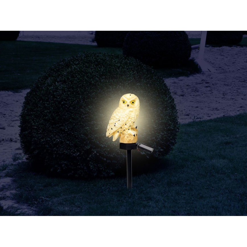 Globo - Éclairage solaire LED/0,06W/3V IP44 chouette