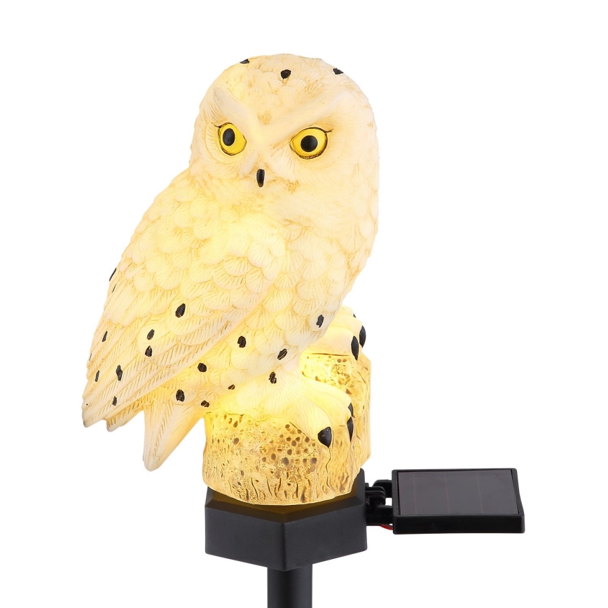 Globo - LED Solar lamp LED/0.06W/3V IP44 uil