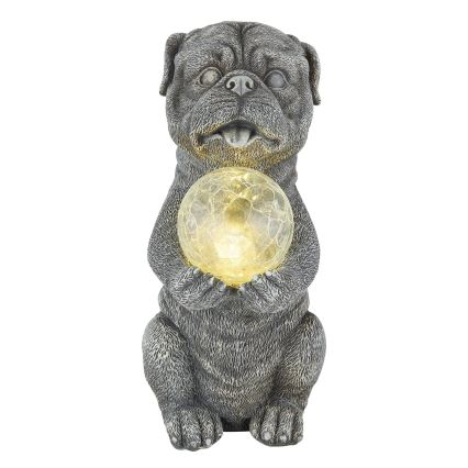 Globo - LED Zonne-energie decoratie LED/0,02W/3V IP44 300 mAh hond