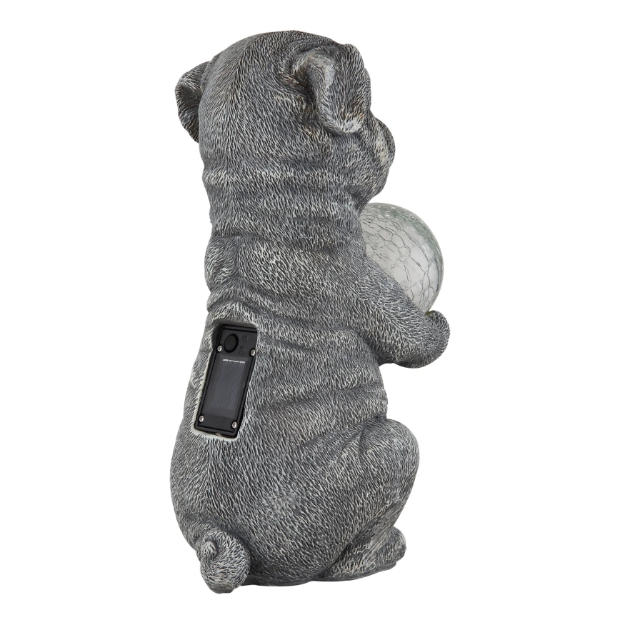 Globo - LED Zonne-energie decoratie LED/0,02W/3V IP44 300 mAh hond