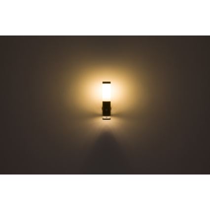 Globo - Lampe d'extérieur avec détecteur 1xE27/15W/230V IP44