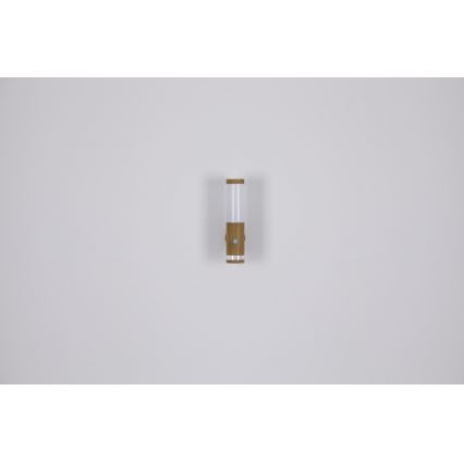 Globo - Lampe d'extérieur avec détecteur 1xE27/15W/230V IP44