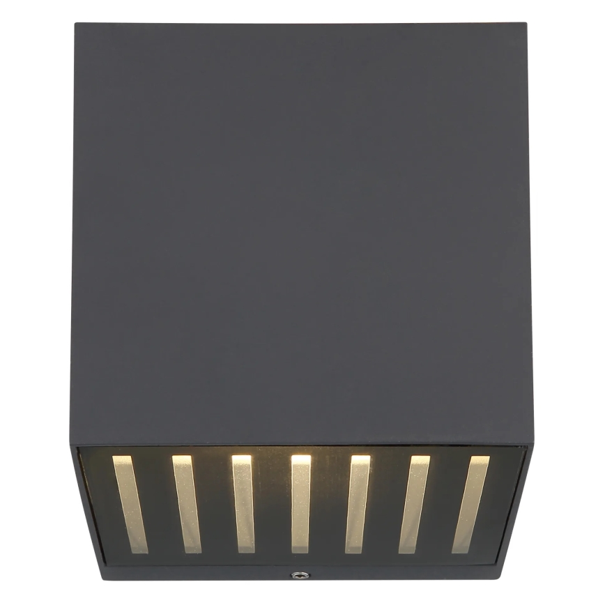 Globo - LED buitenwandlamp LED/6W/230V IP54 antraciet