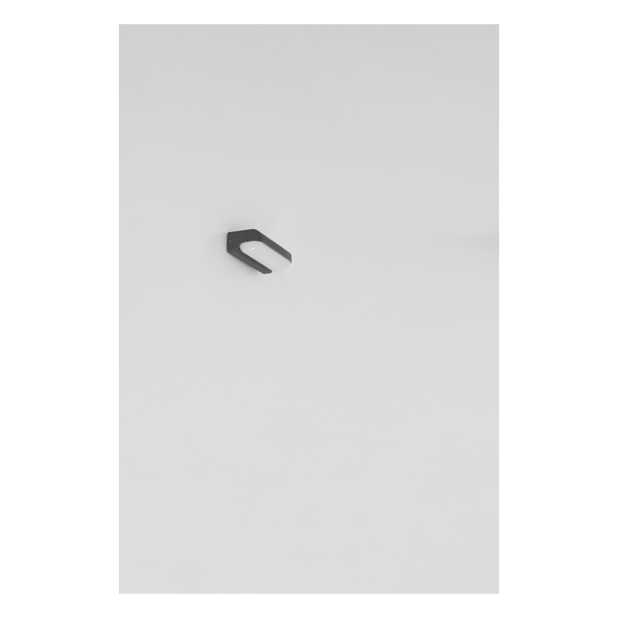 Globo - Applique murale extérieure LED/10W/230V IP54