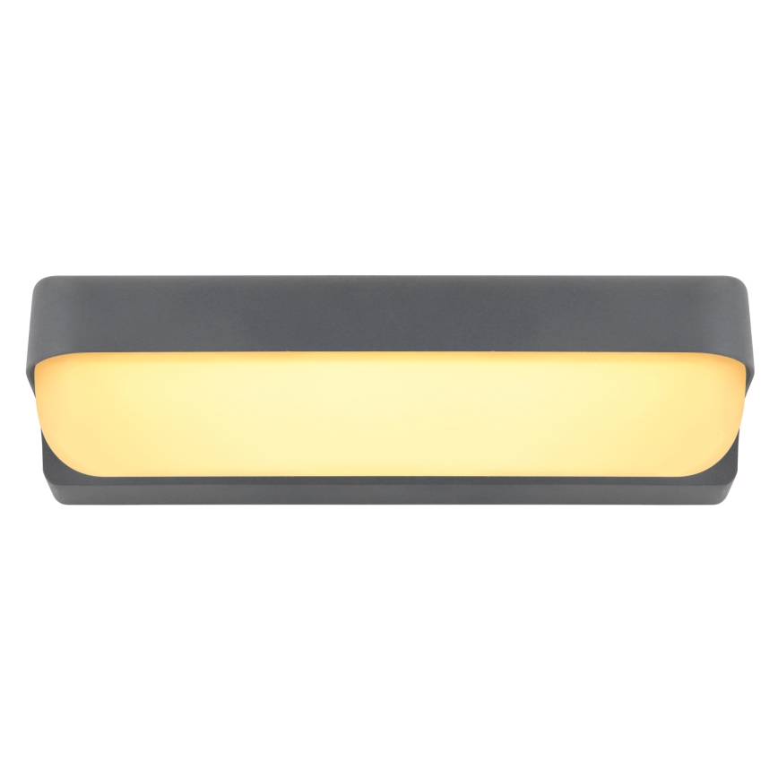Globo - Applique murale extérieure LED/10W/230V IP54