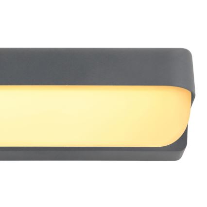 Globo - LED Wand Lamp voor Buiten LED/10W/230V IP54