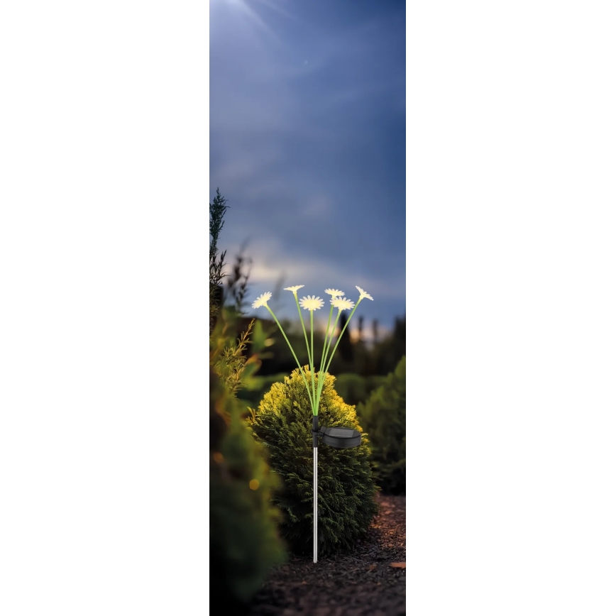 Globo - Lampe solaire LED 6xLED/3V IP44 600 mAh en forme de fleur