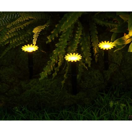 Globo - Guirlande solaire LED 5 x LED / 3 V, IP44, 300 mAh, 2,2 m, fleurs